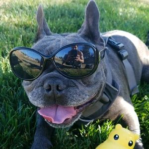 Meet your Posher, Eric